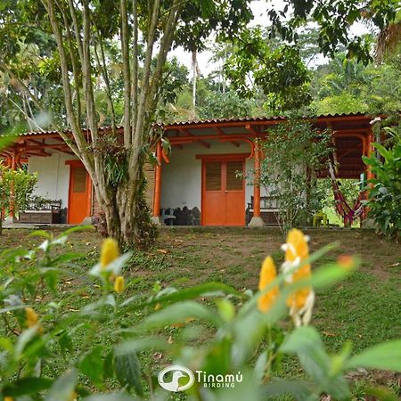 Tinamu Birding Hotel La Manuelita Buitenkant foto