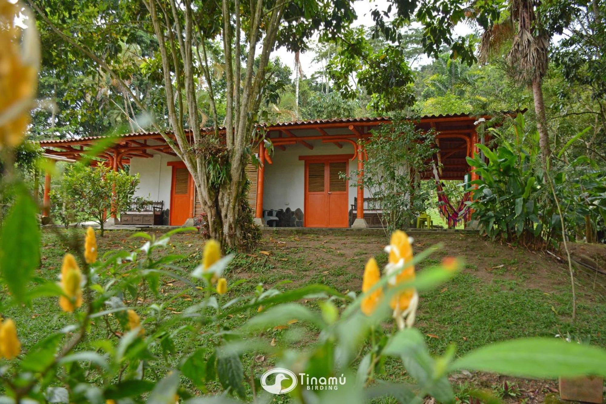 Tinamu Birding Hotel La Manuelita Buitenkant foto