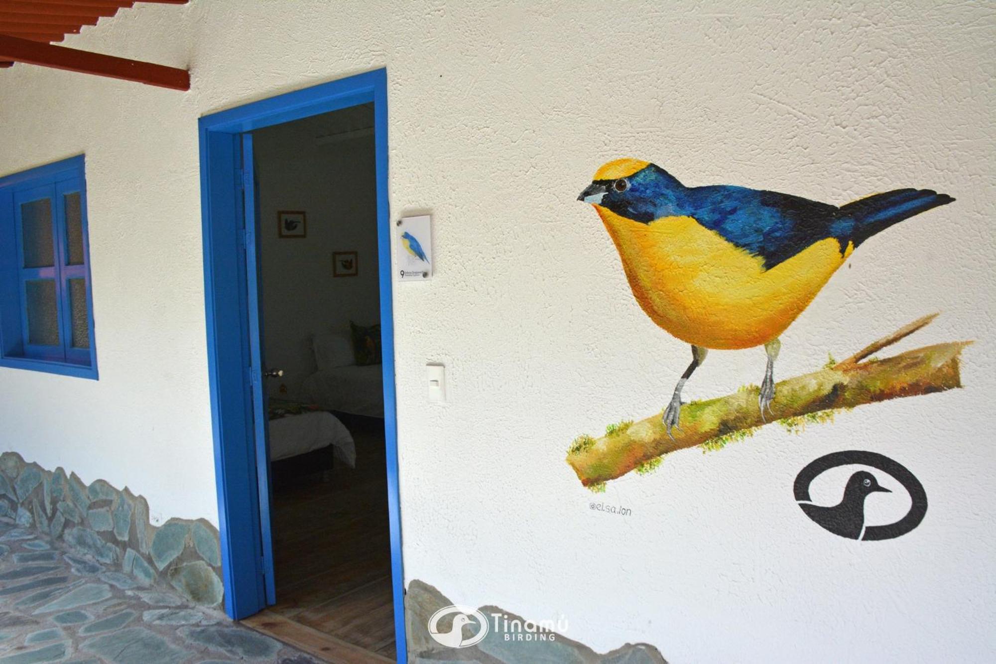 Tinamu Birding Hotel La Manuelita Buitenkant foto