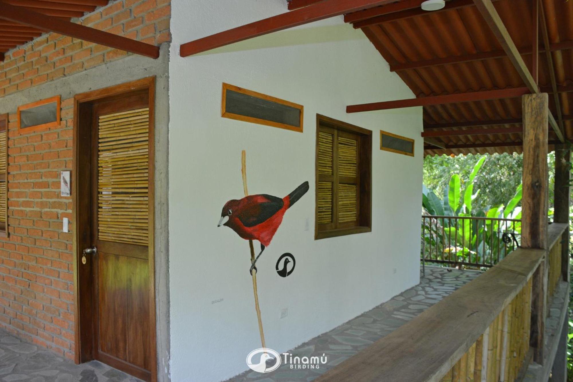 Tinamu Birding Hotel La Manuelita Buitenkant foto