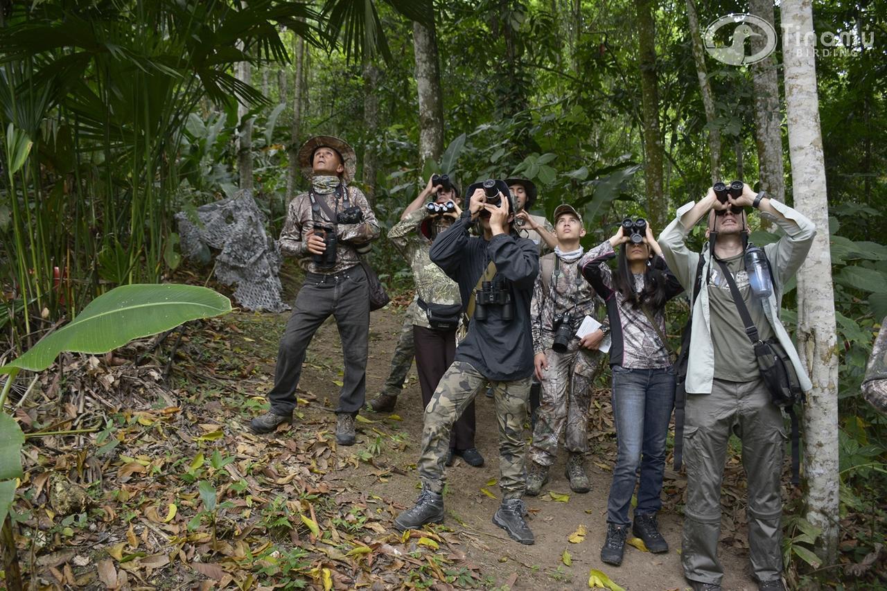 Tinamu Birding Hotel La Manuelita Buitenkant foto