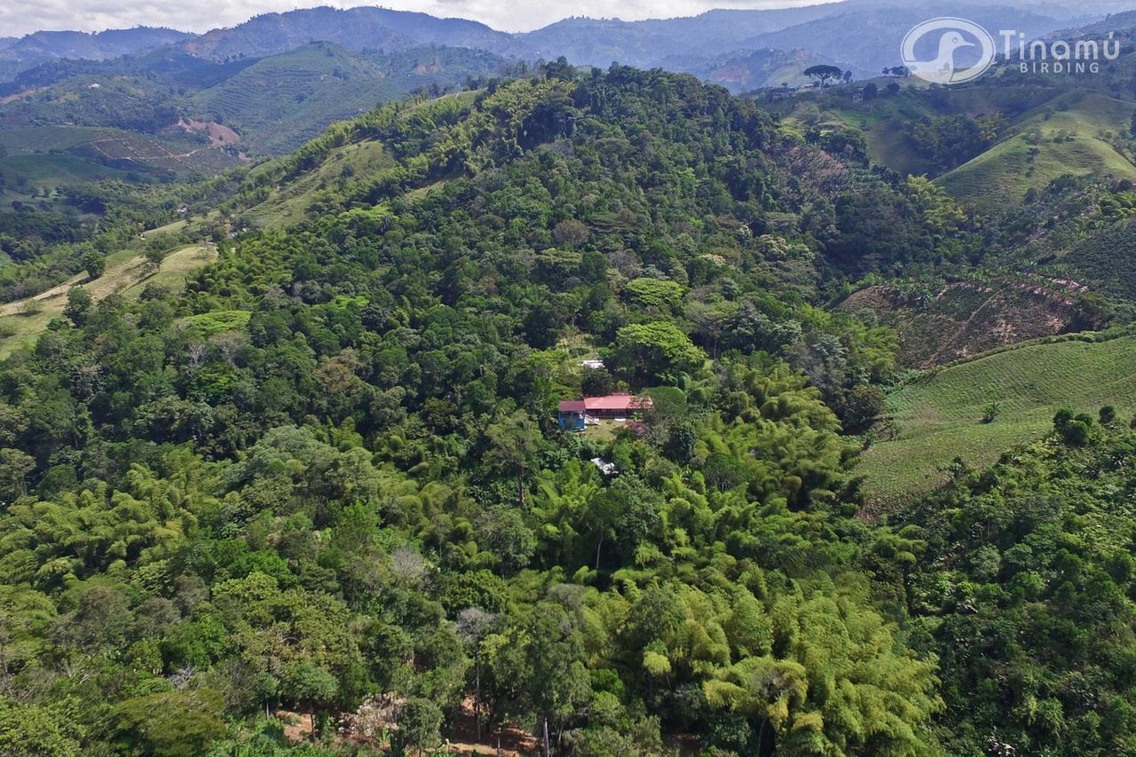 Tinamu Birding Hotel La Manuelita Buitenkant foto